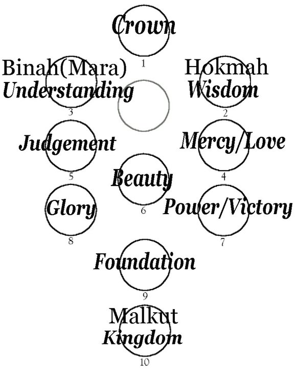 Tree of Life diagram