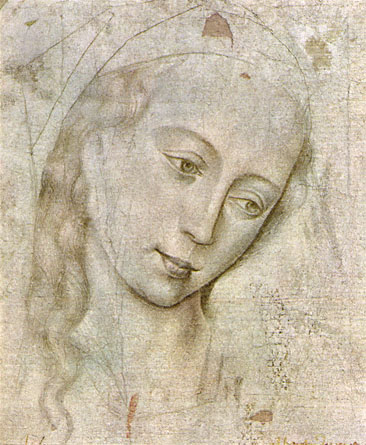 Was Mother Mary really a Virgin